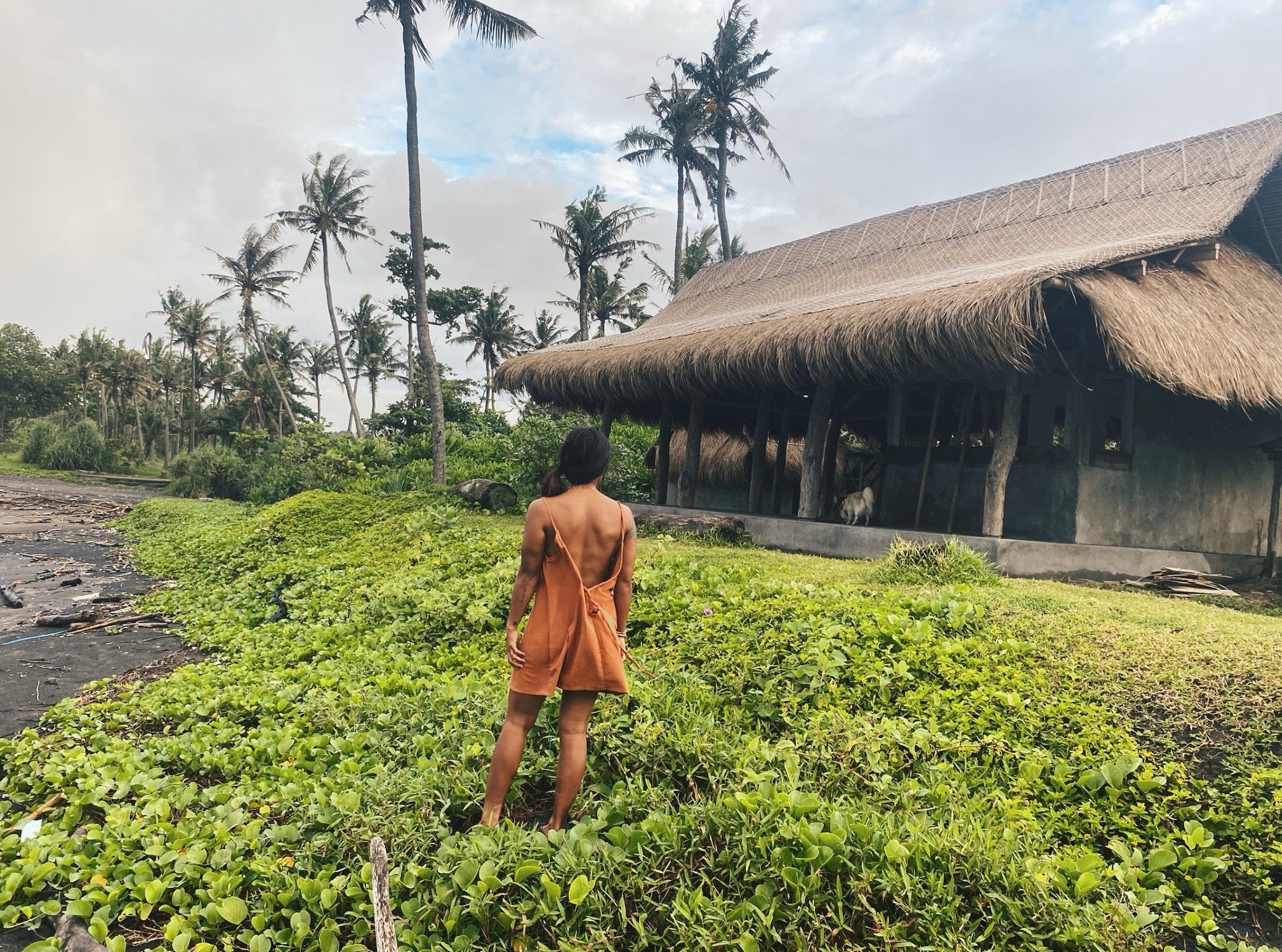 Low back  CLAY cotton dress