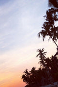 Bali postcard - jungle