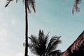 Bali postcard - rooftops